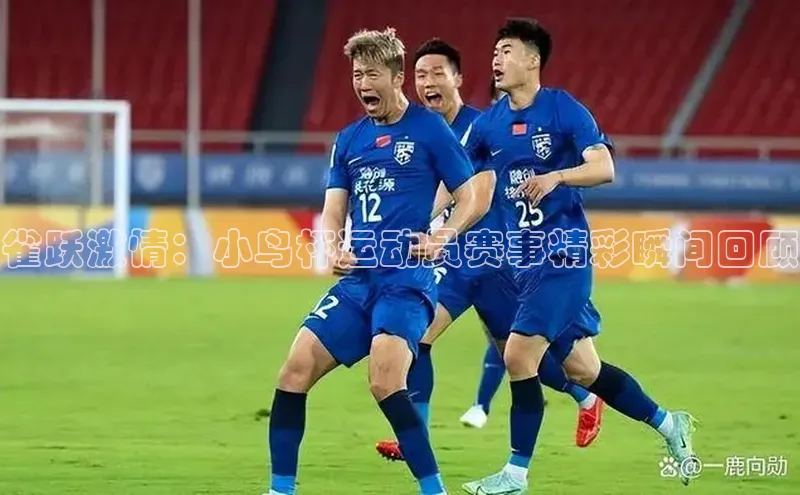 雀跃激情：小鸟杯运动员赛事精彩瞬间回顾
