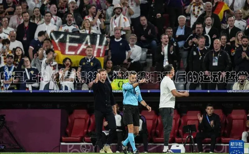 喵星上的体育精神：猫猫赛事背后的运动哲学