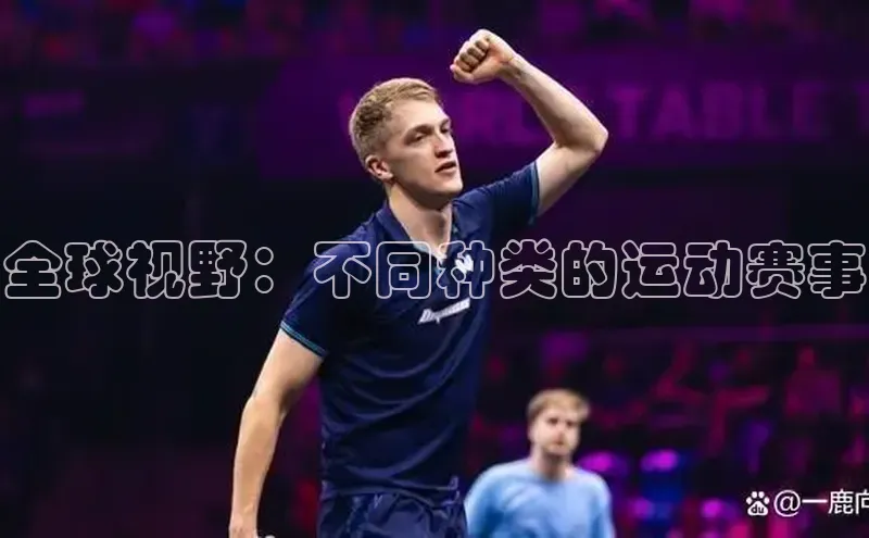全球视野：不同种类的运动赛事