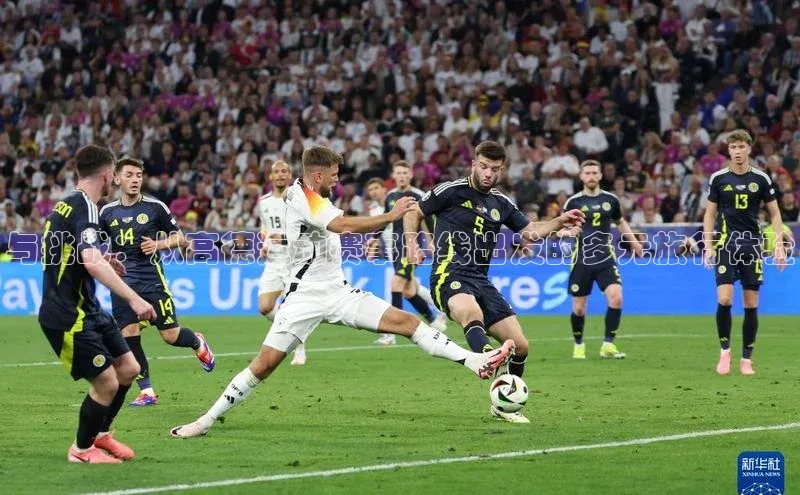 与挑战：从高德运动赛事路线出发的多元旅行体验