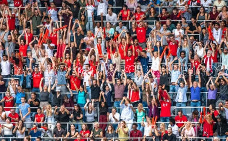 ：如何通过体育赛事获得快速收益的策略分析