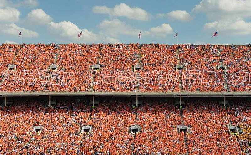 沃乐运动：体育赛事的激情与魅力