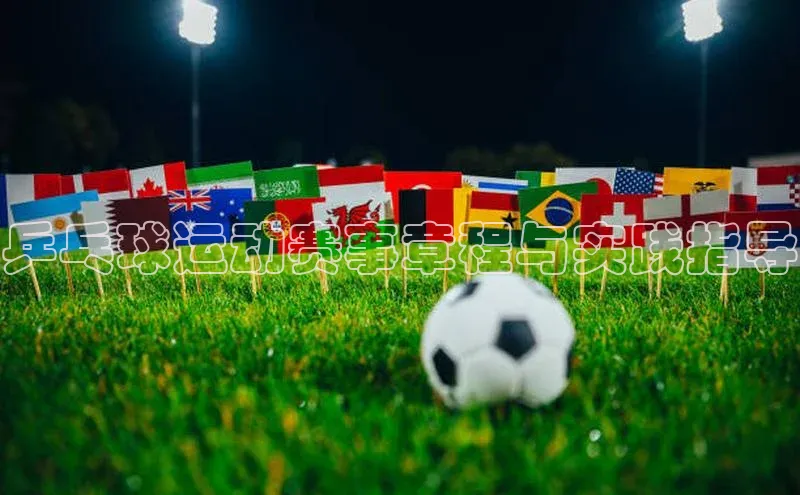 乒乓球运动赛事章程与实践指导