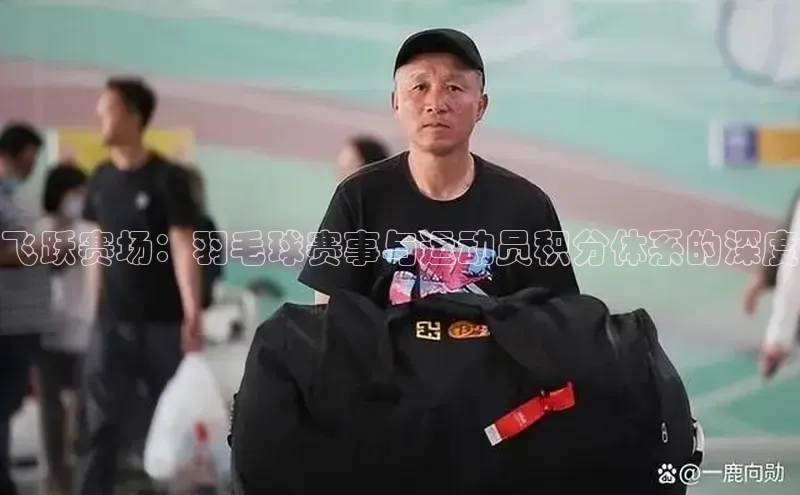 飞跃赛场：羽毛球赛事与运动员积分体系的深度