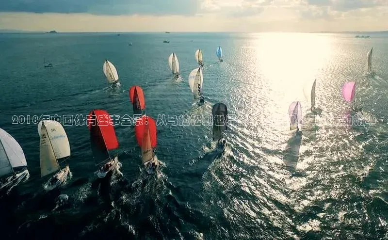 2018年中国体育盛事全景：从马拉松到世界杯，一网打尽年度运动精华