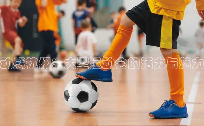 动感杭州：大型运动会的活力与魅力